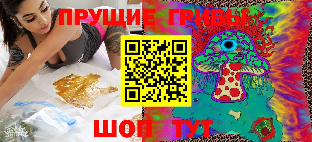 Псилоцибиновые грибы мицелий Дивногорск