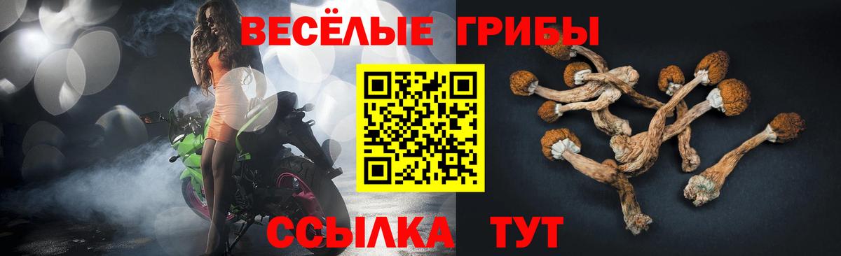 Псилоцибиновые грибы ЛСД  как найти закладки  Дивногорск  Вход с VPN  Галлюциногенные грибы прущие грибы 