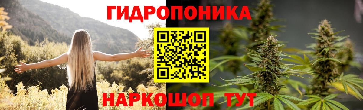 Бошки марихуана тримм  Бошки Шишки план  Дивногорск  Бошки Шишки сатива  Вход с VPN 